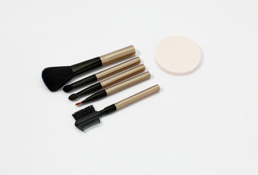 QVS Makeup Tool Set ESSENTIAL COSMETIC TOOL KIT
