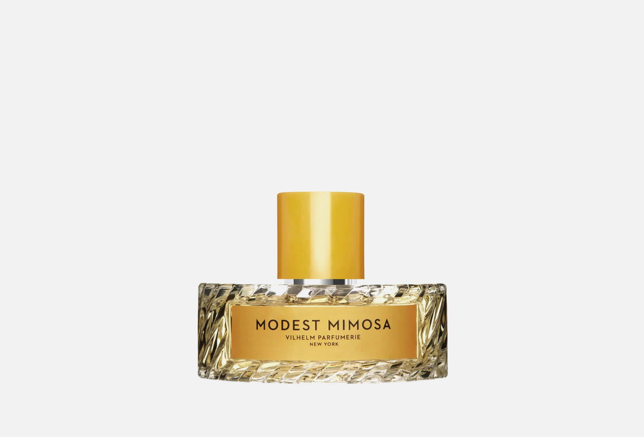 Modest Mimosa 100