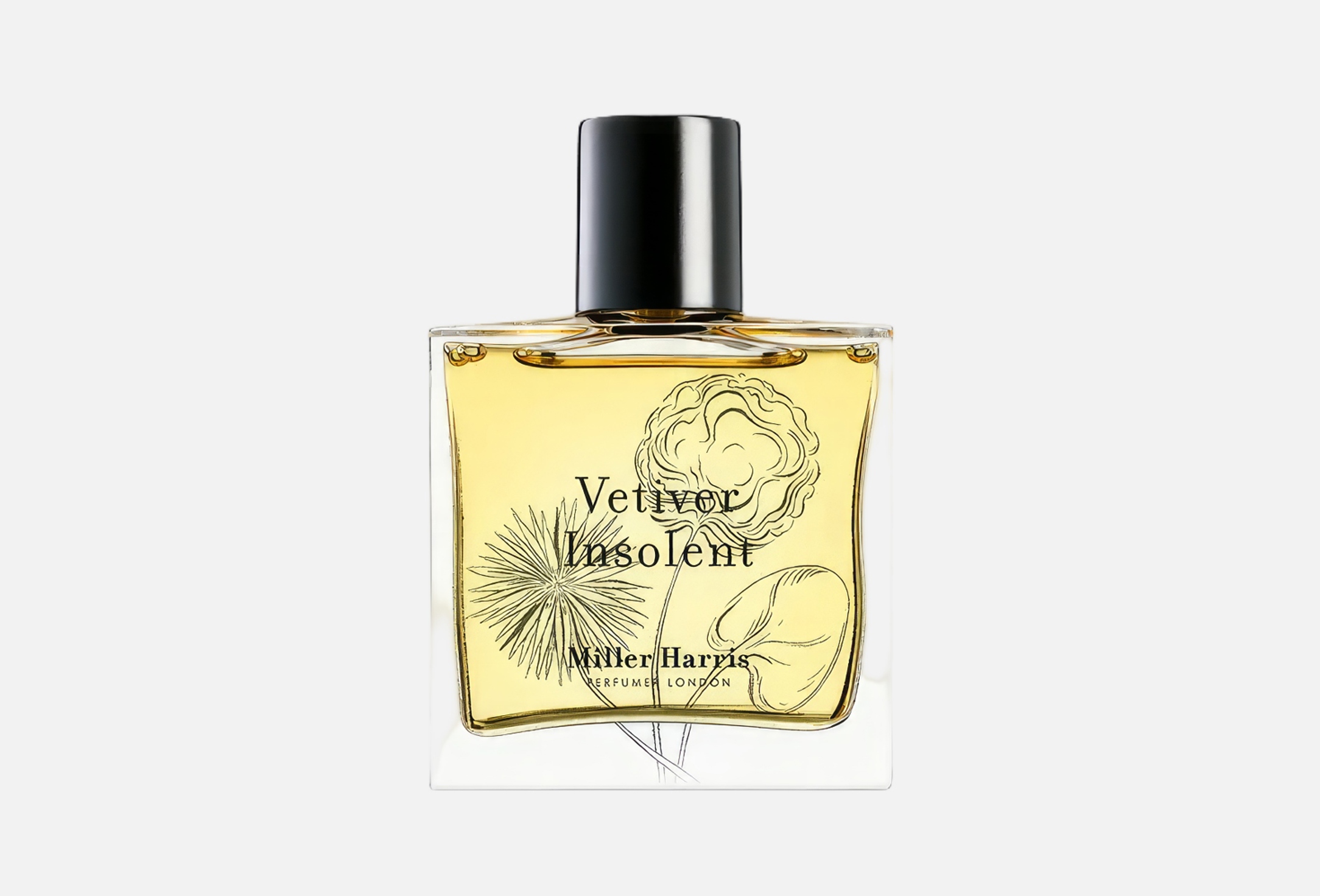 Vetiver insolent 50