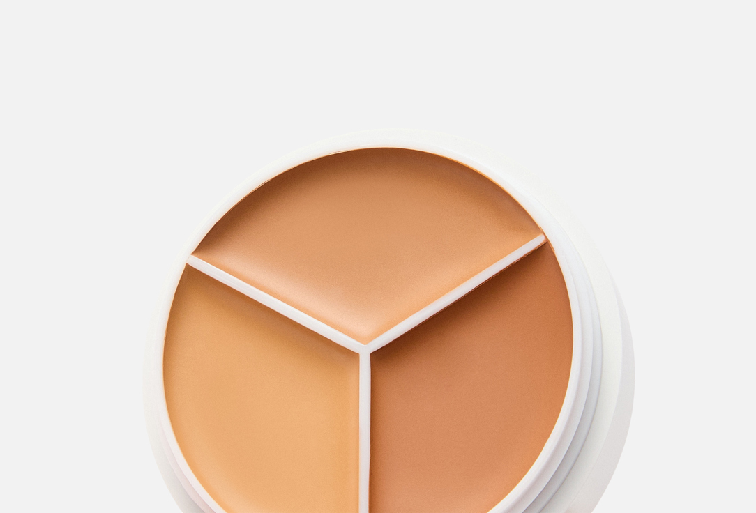 TFIT Long lasting cream concealer Cover Up Pro