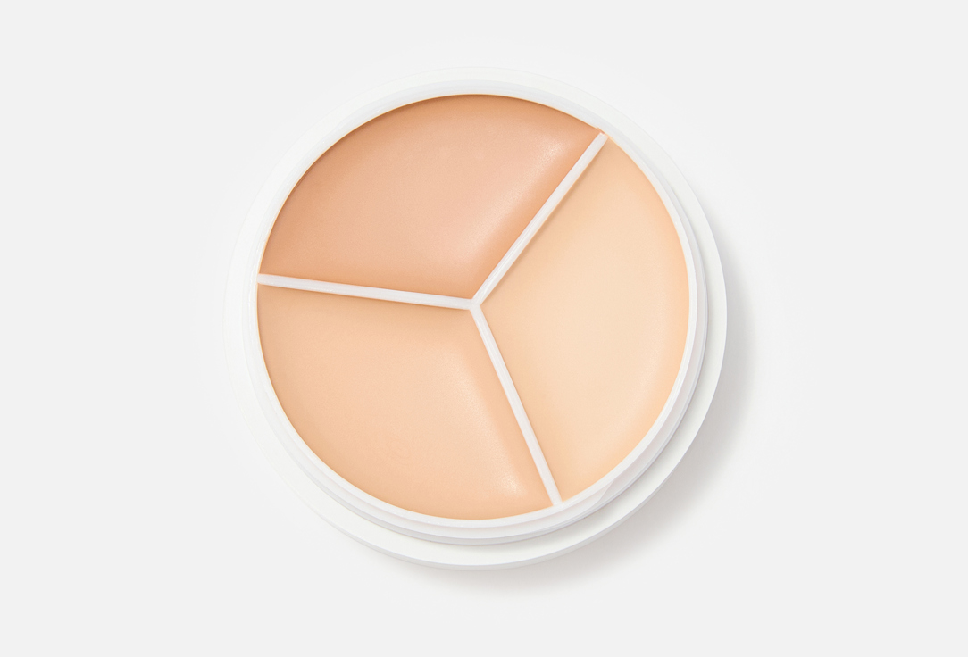 TFIT Long lasting cream concealer Cover Up Pro