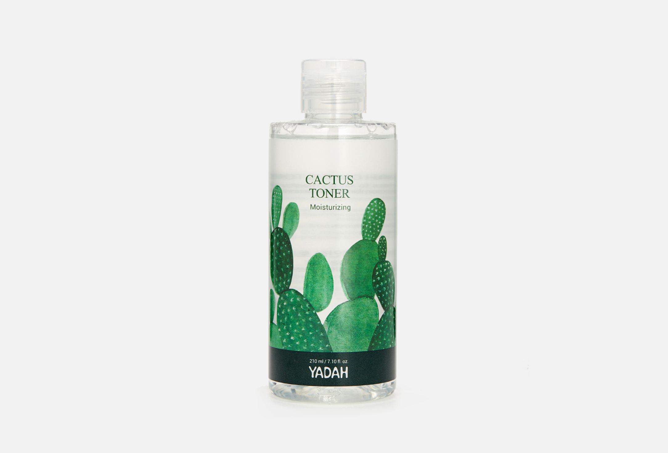 Cactus 210